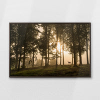 LWN120W080