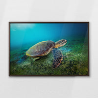 LWN100W070