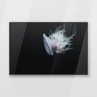 PB-093W062