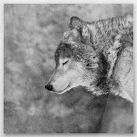 AC-040W040