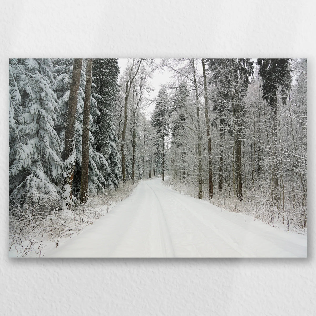 AL-060W040