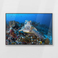 PB-100W070
