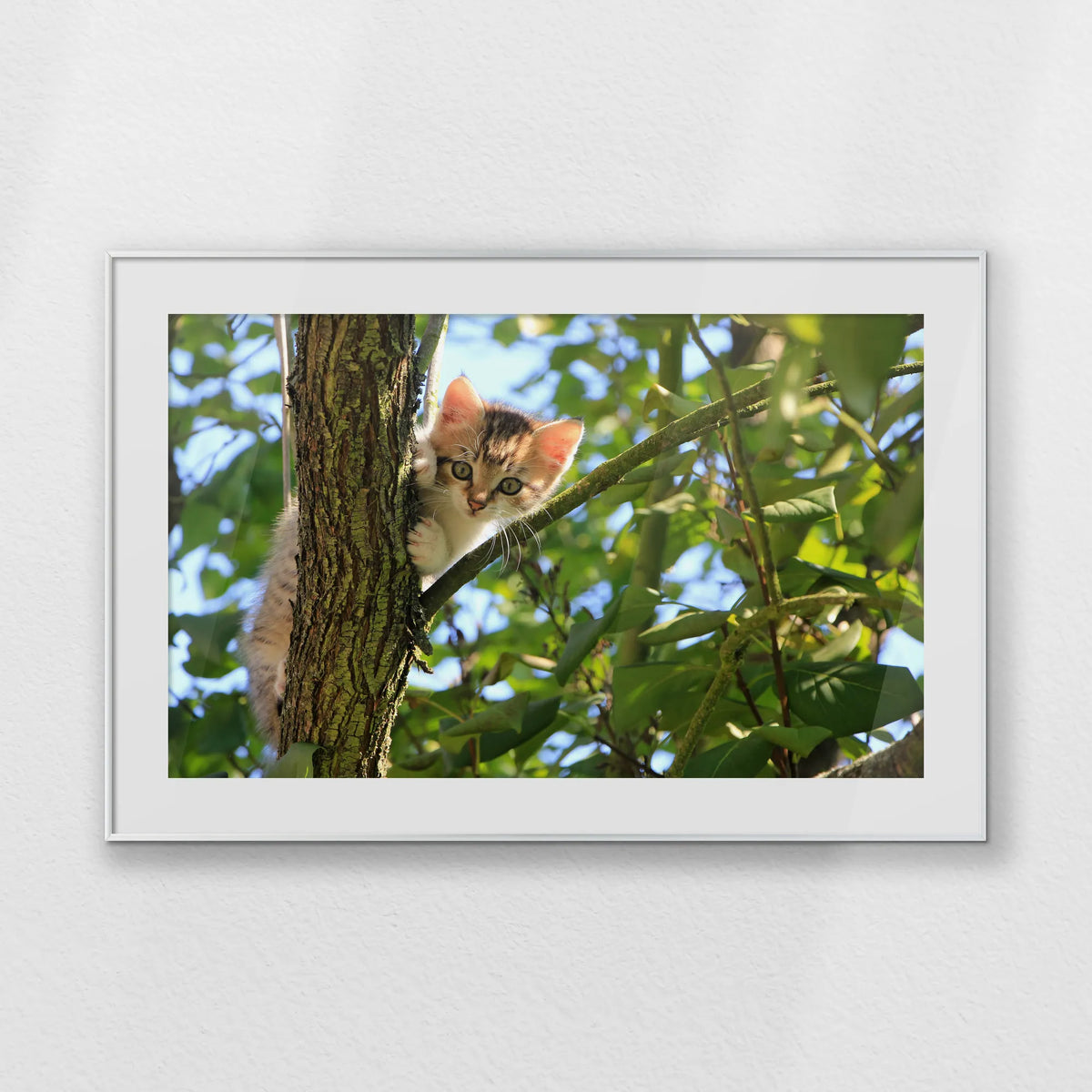 PSP100W070