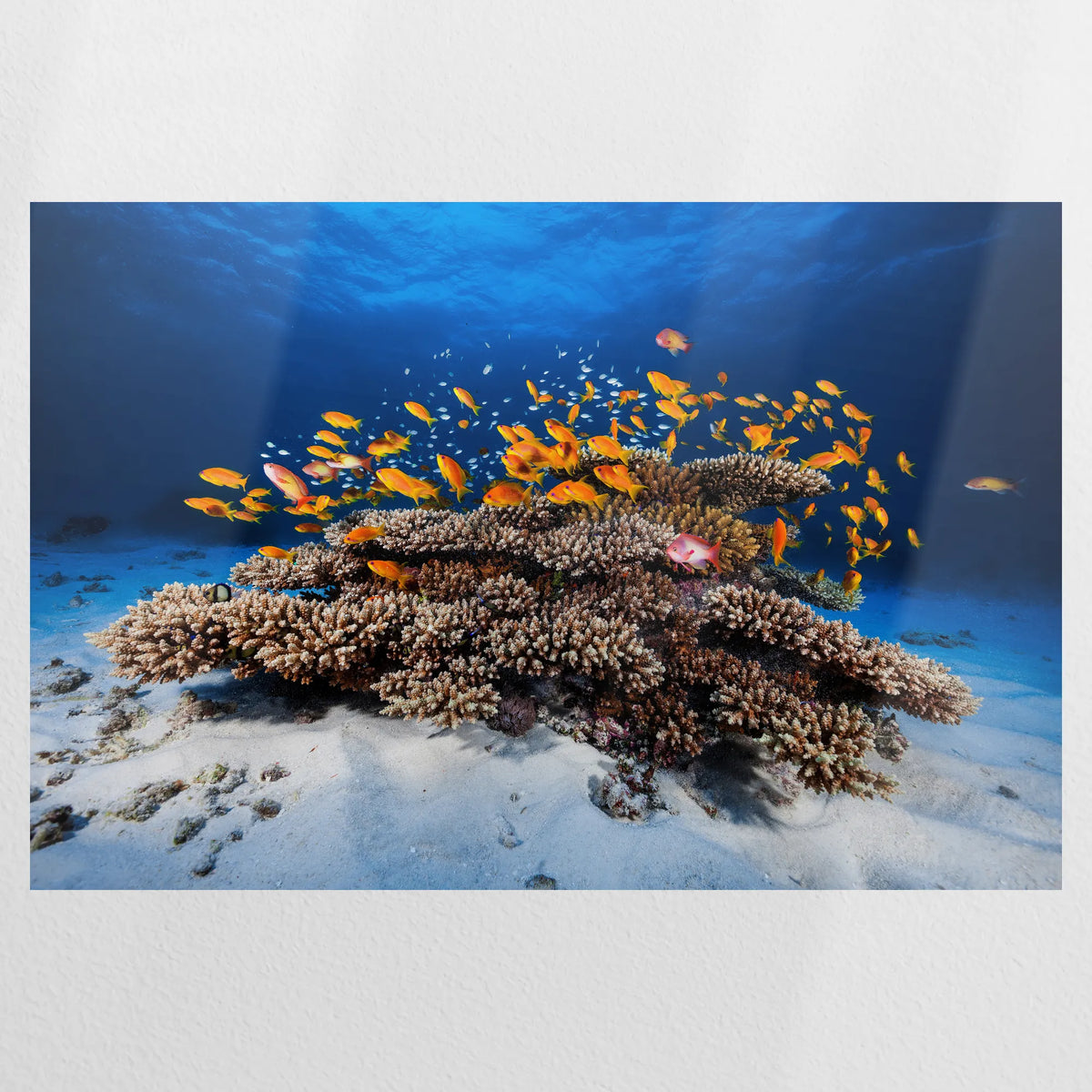 PO-075W050