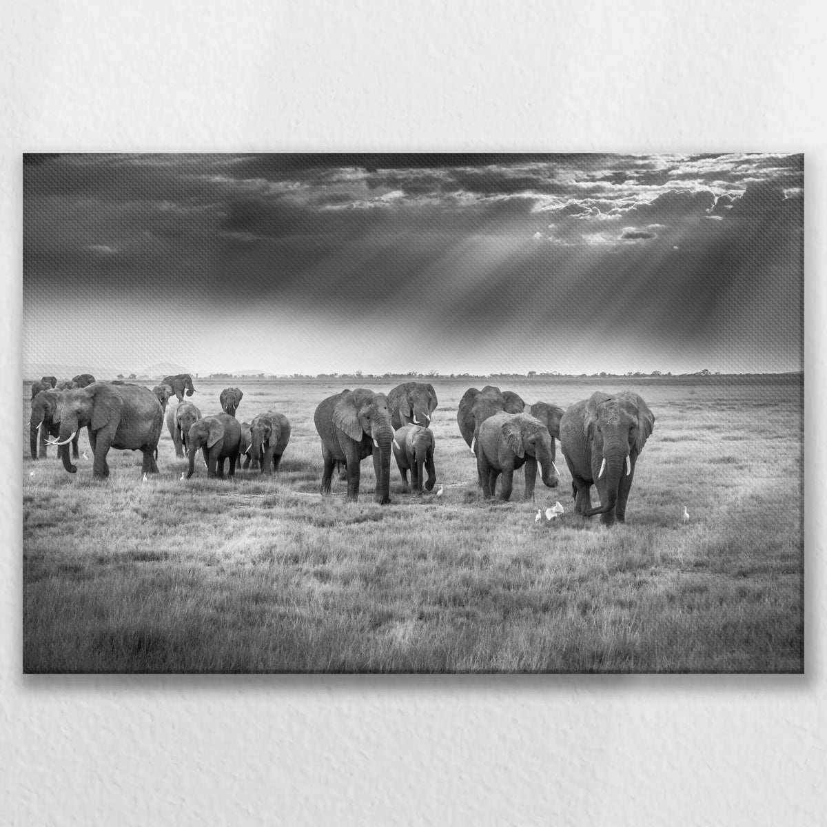LW-075W050