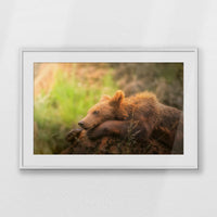 PWP100W070