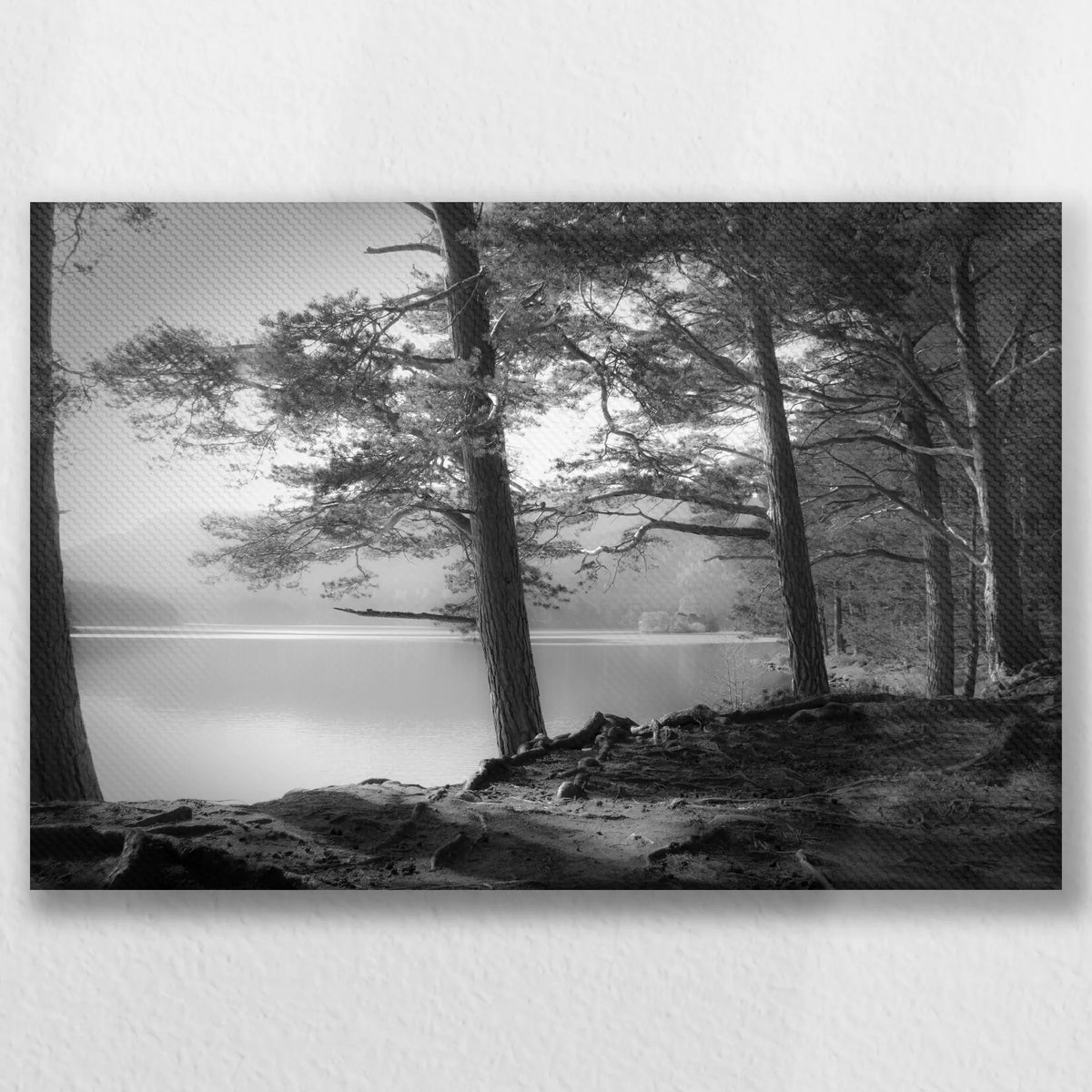 LW-030W020