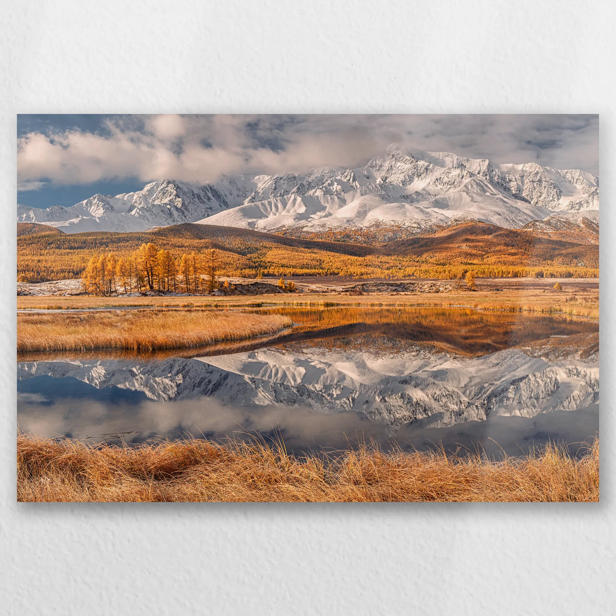 AL-045W030