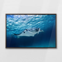LWN100W070
