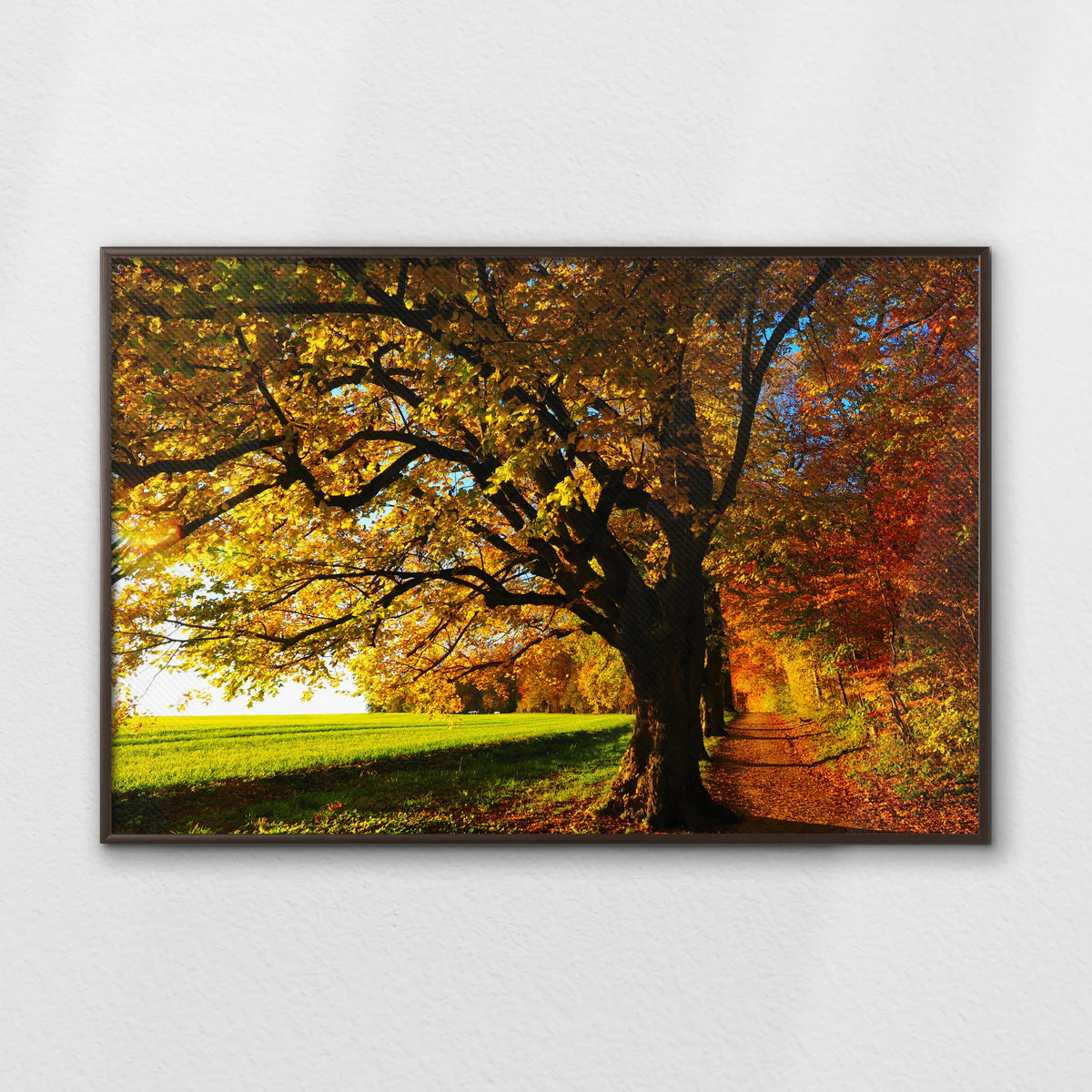LWN120W080
