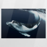 PO-090W060
