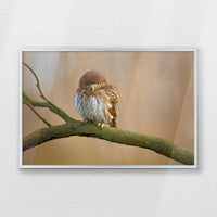 PS-060W040