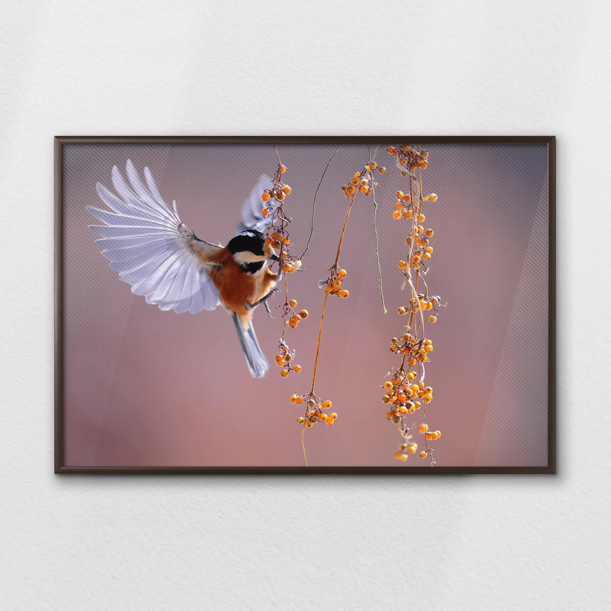 LWN100W070