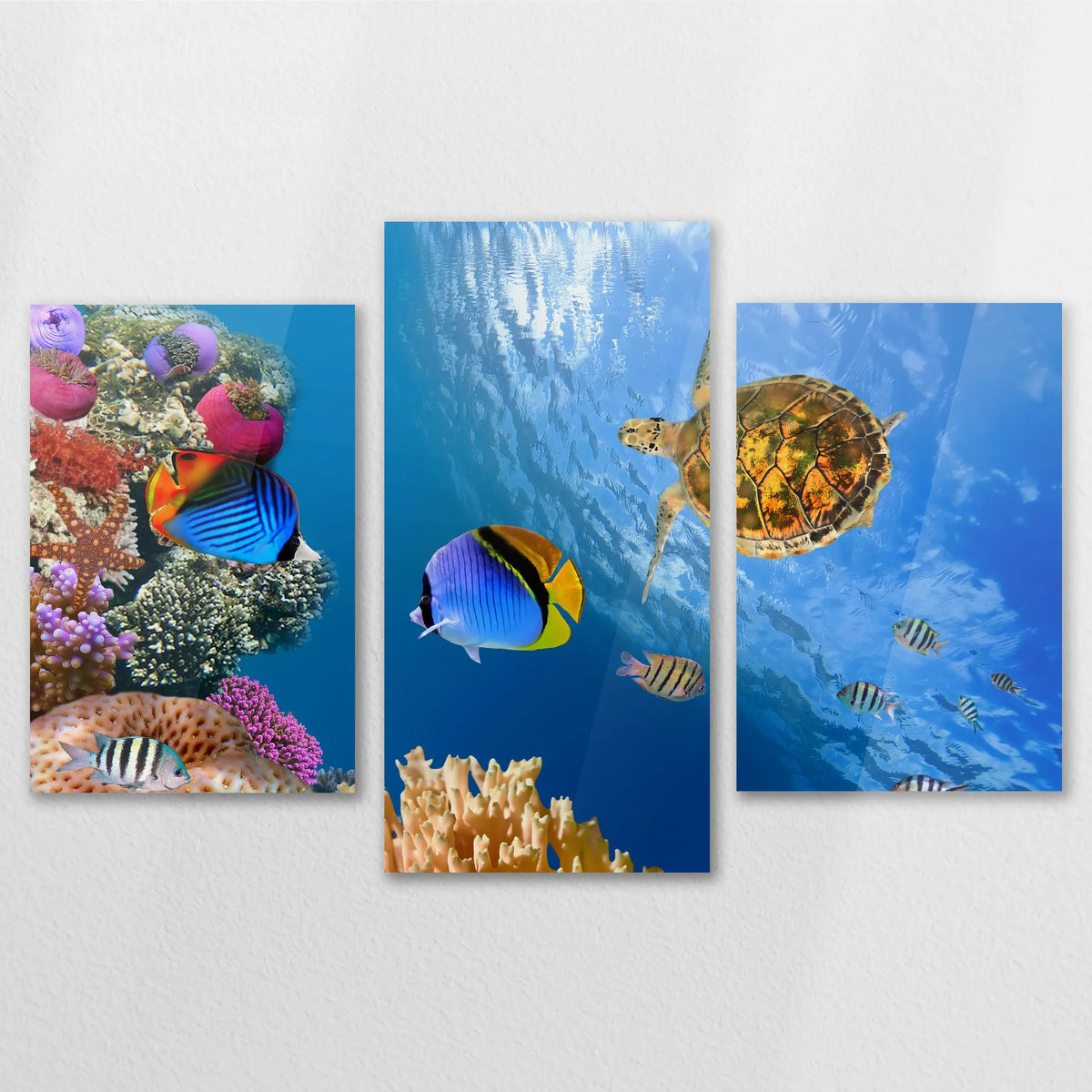 AC-120T080