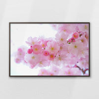 LWN120W080