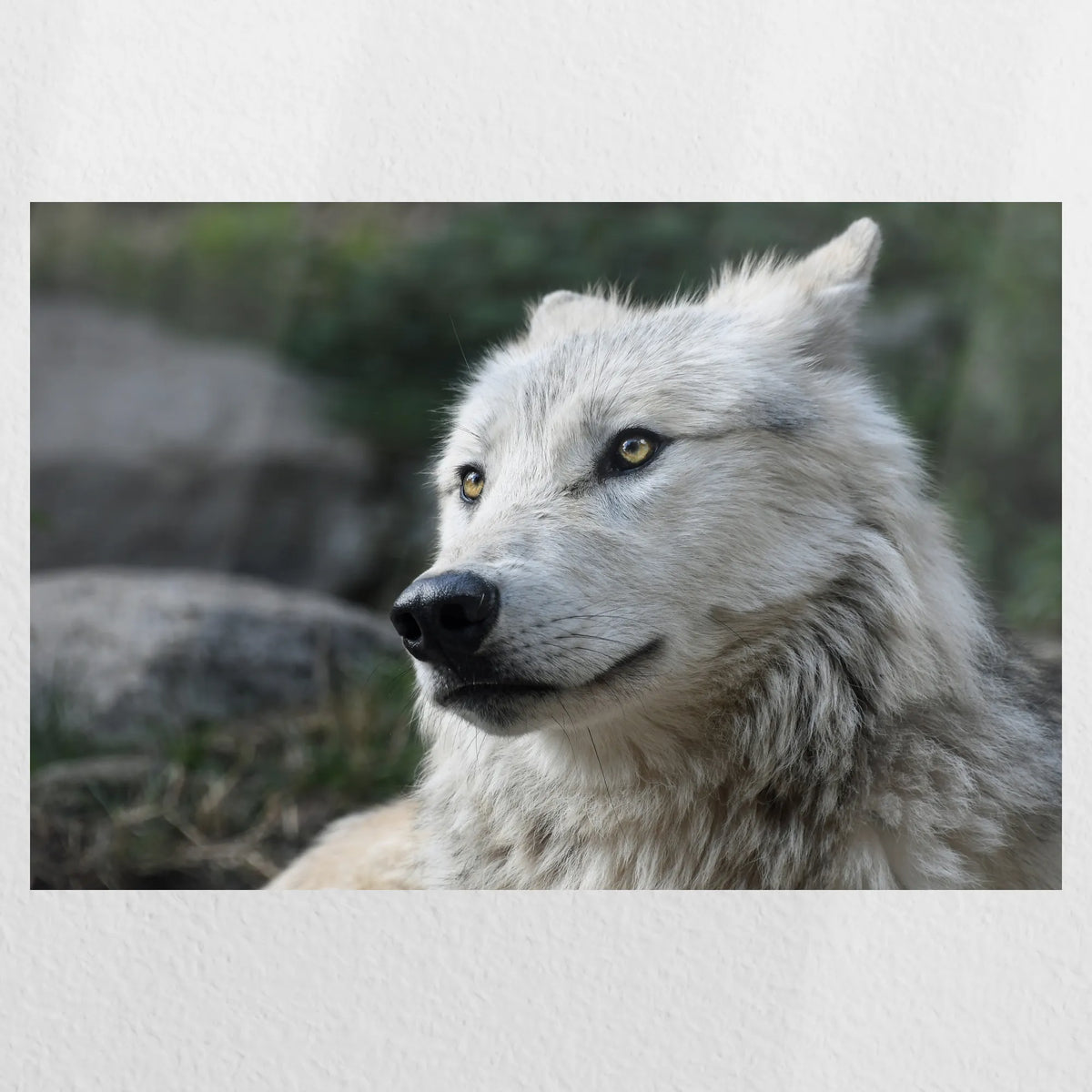 PO-030W020
