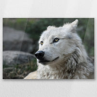 AC-060W040