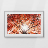 PBP100W070