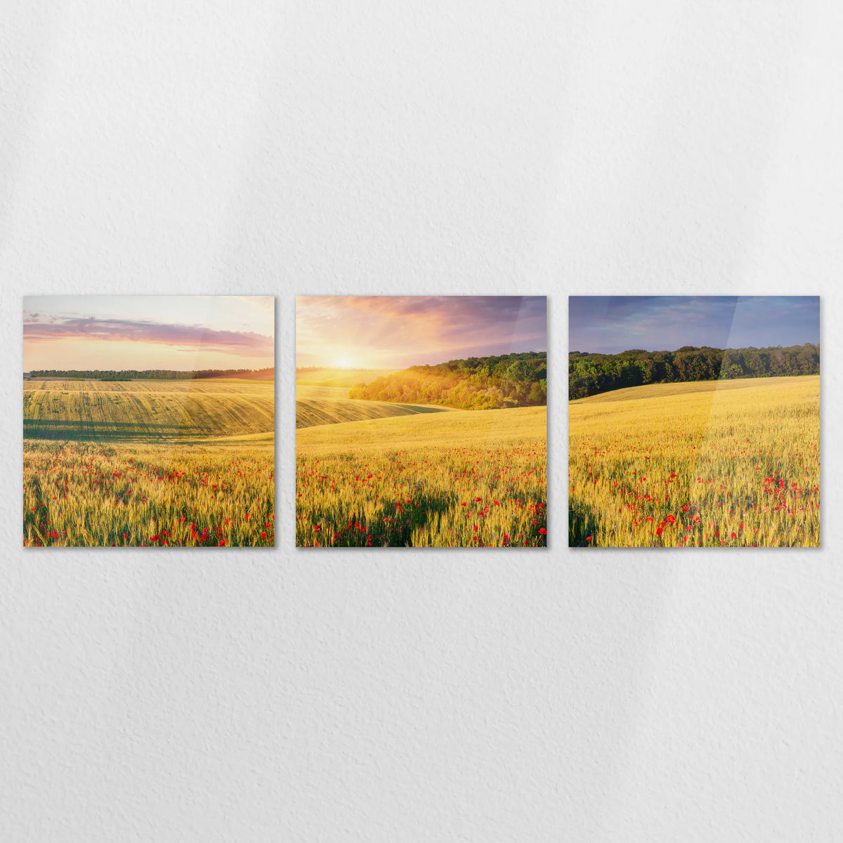 AC-240S080