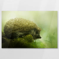 AL-090W060