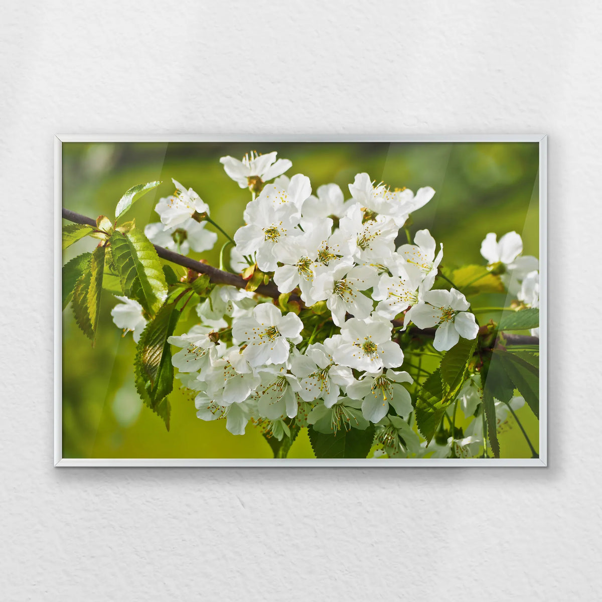PS-060W040