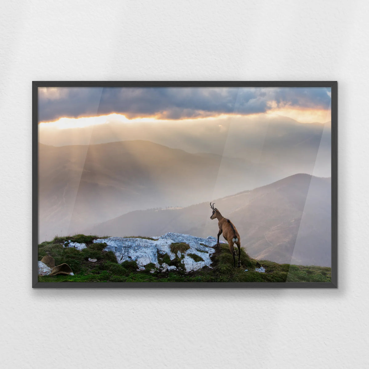 PK-093W062