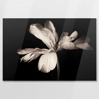 AC-090W060