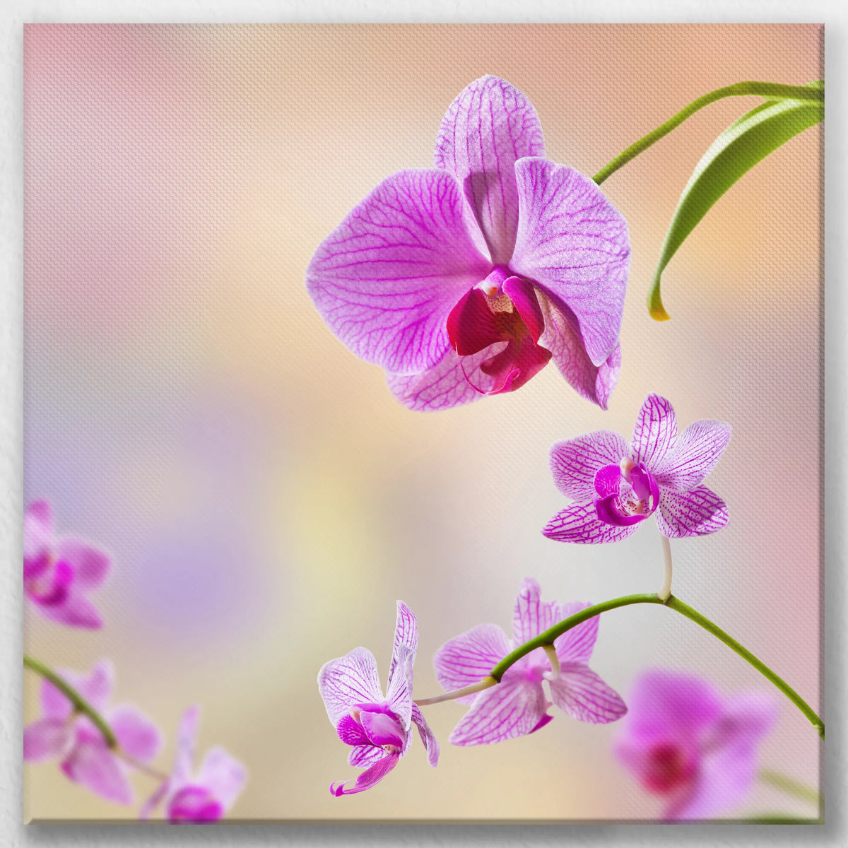 LW-060W060