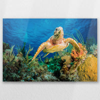 AL-030W020