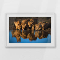 PWP100W070