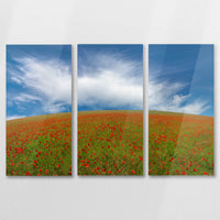 AC-090R060