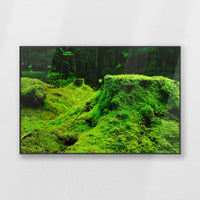 PB-120W080