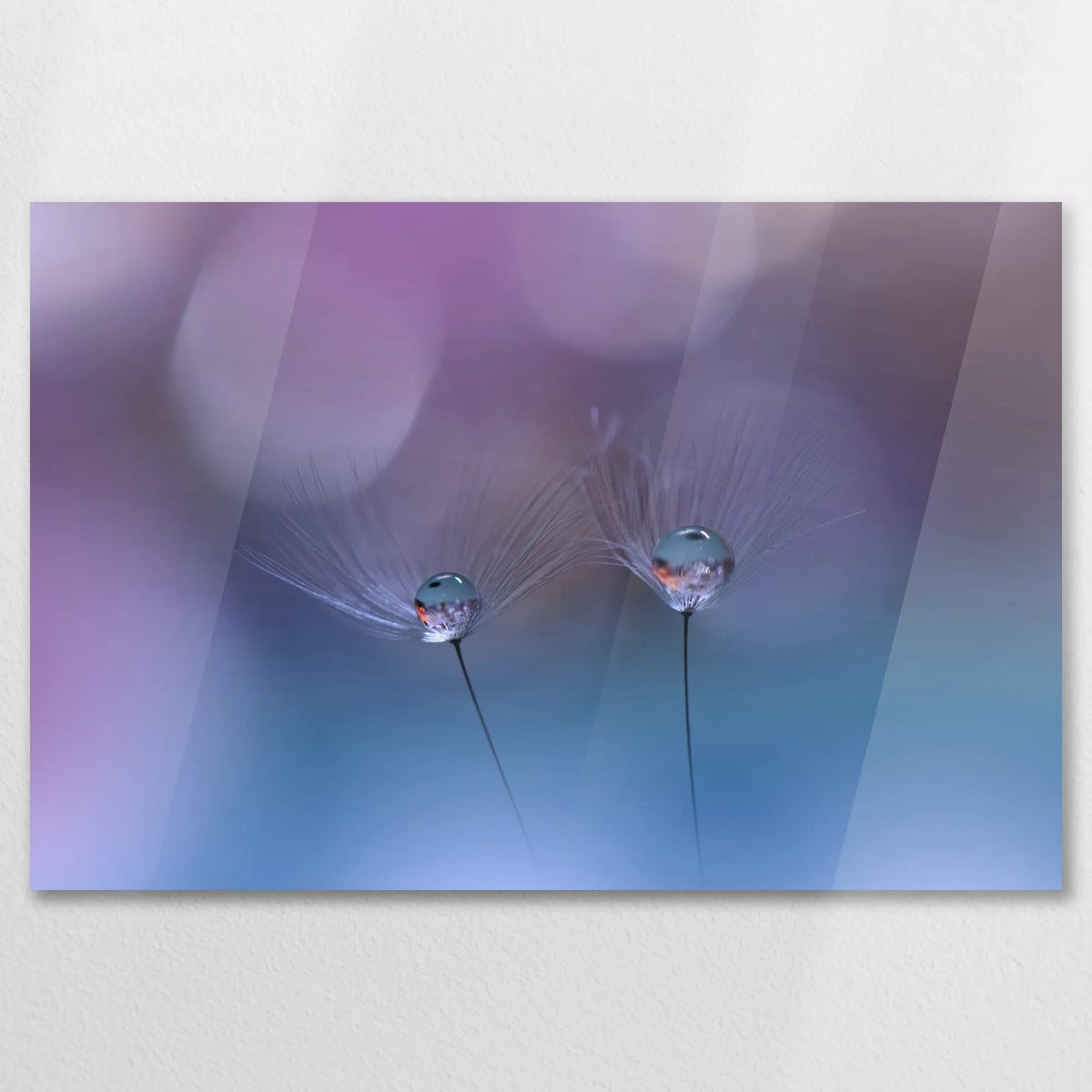 AC-075W050