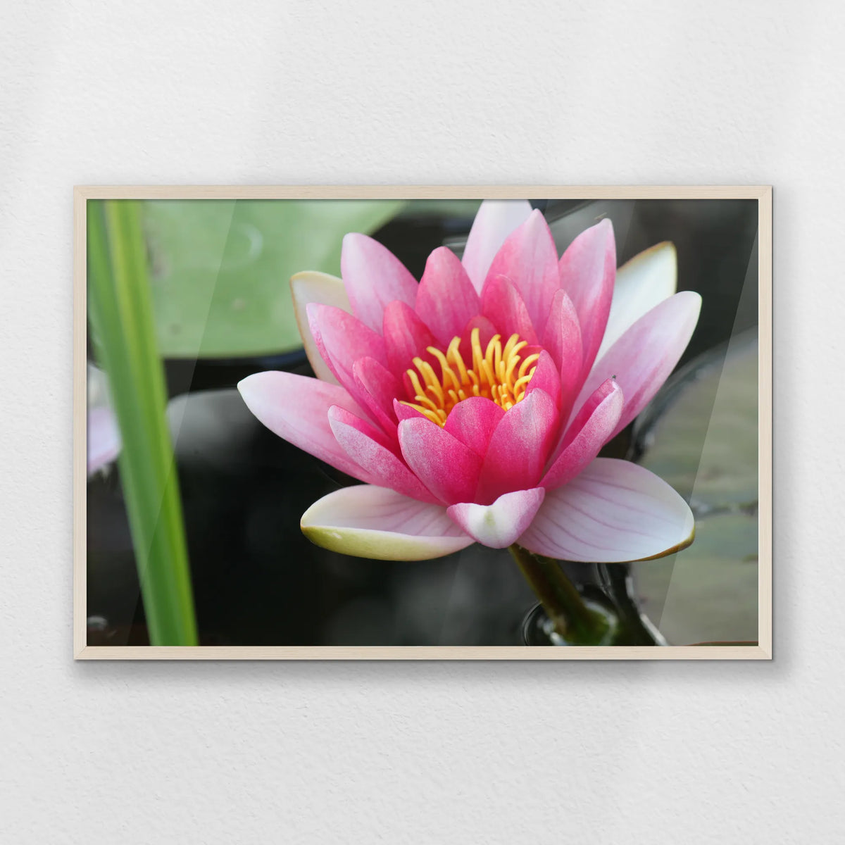 PN-093W062
