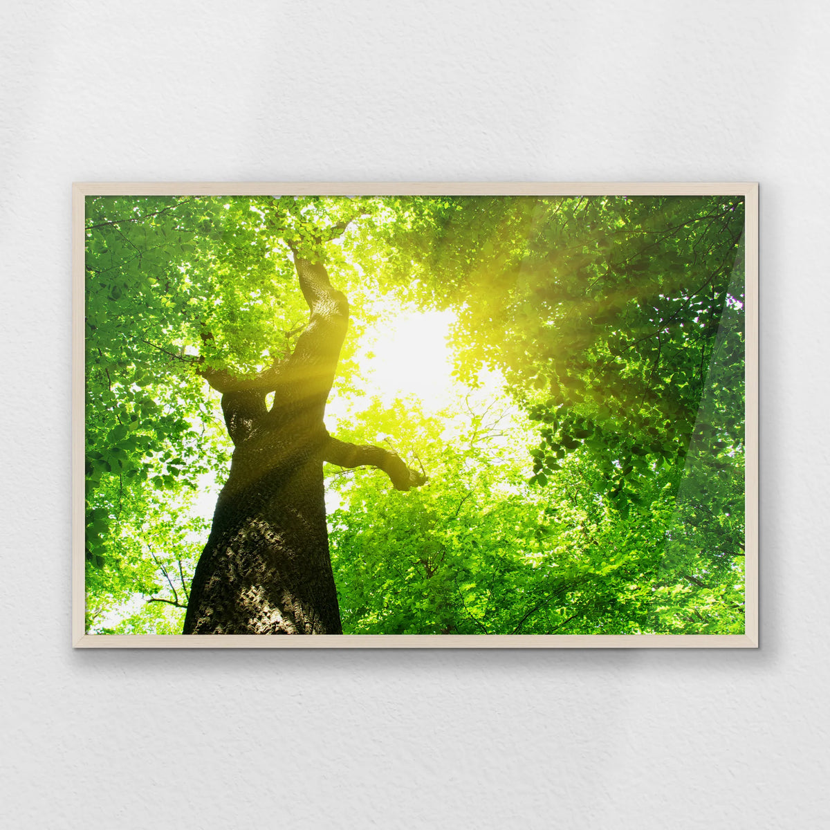 PN-093W062