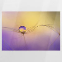 PO-075W050