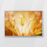 PS-093W062