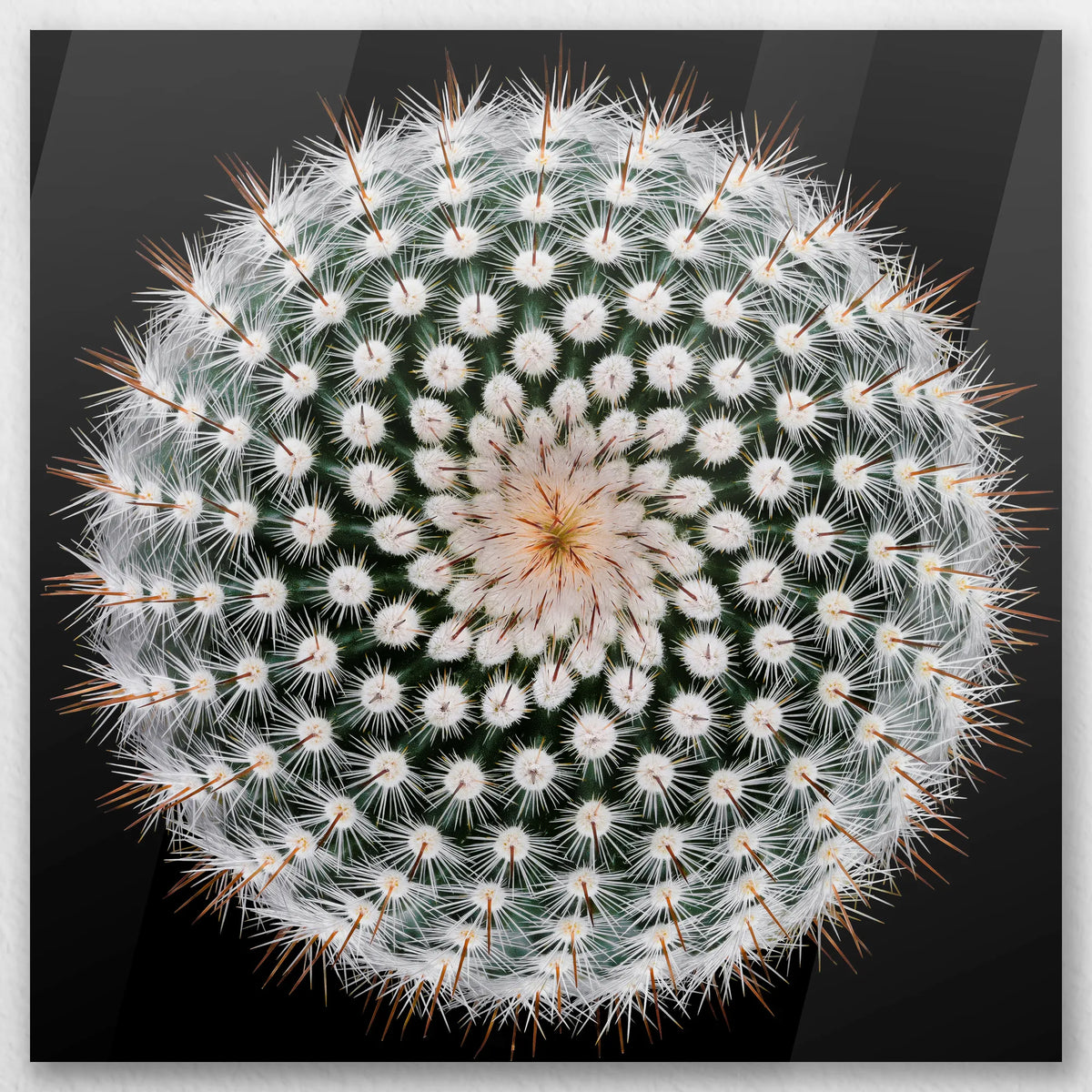 AC-030W030