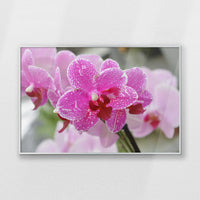 PS-093W062