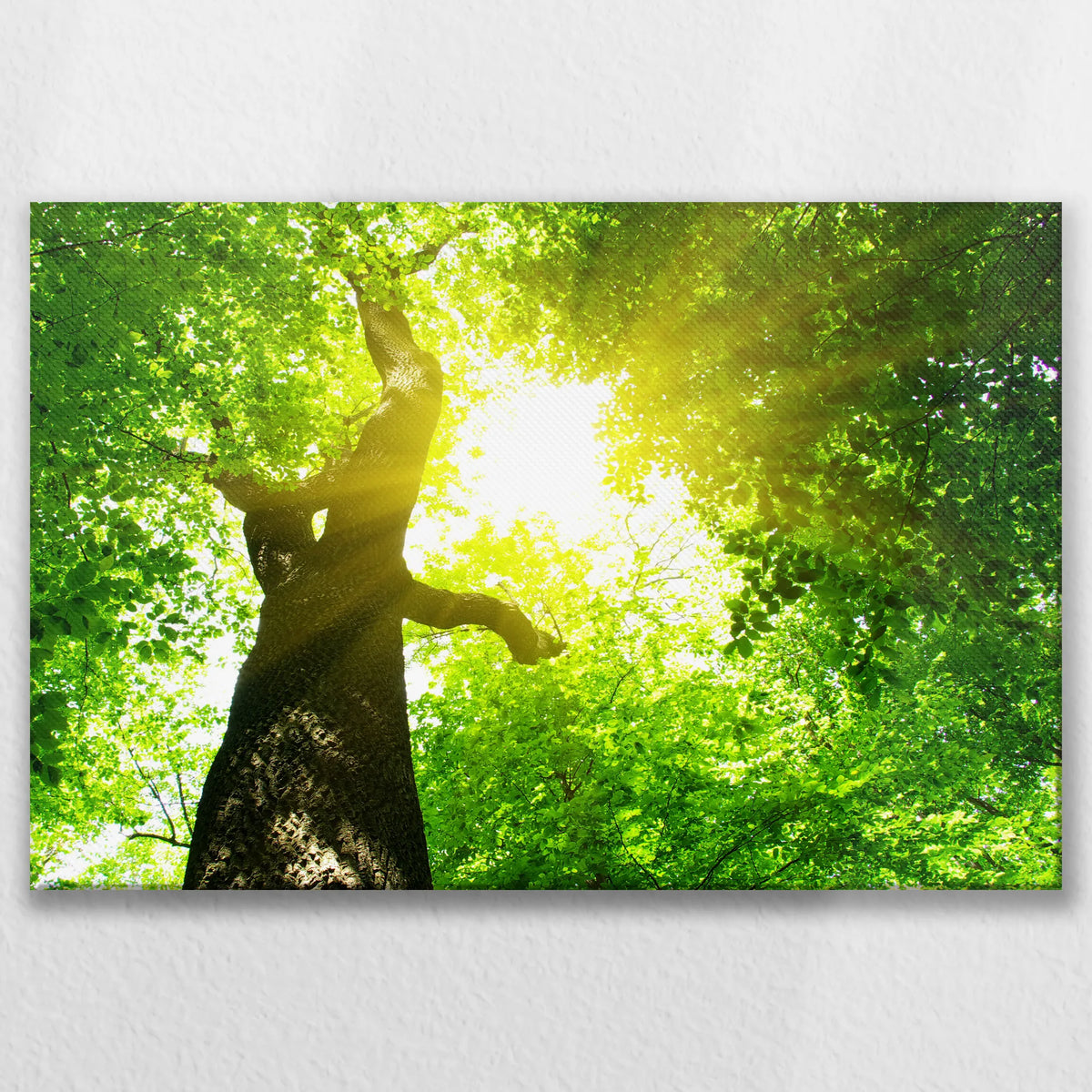 LW-075W050