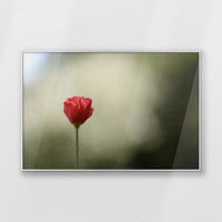 PS-100W070