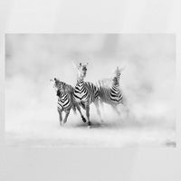 PO-075W050