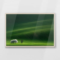 PN-093W062