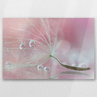 AL-030W020
