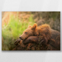 LW-060W040