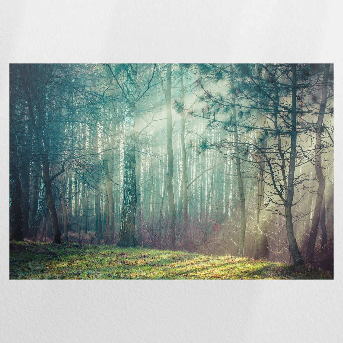 PO-120W080