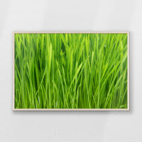 PN-100W070