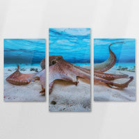 AC-120T080