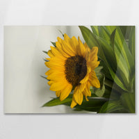 AC-075W050