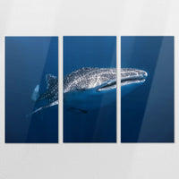 AL-180R120